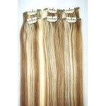 Brazilian Premium Double Drawn Clip-In Hair – 100g (3.5274 oz) Pack